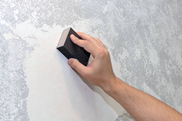 Best Black Mold Removal  in Citrus Park, AZ