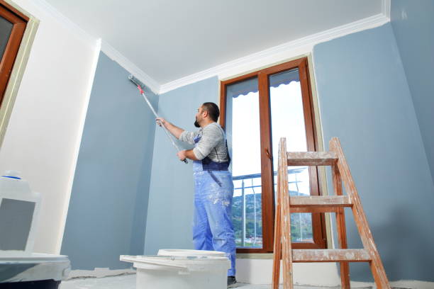 Mold Remediation for Rental Properties in Citrus Park, AZ