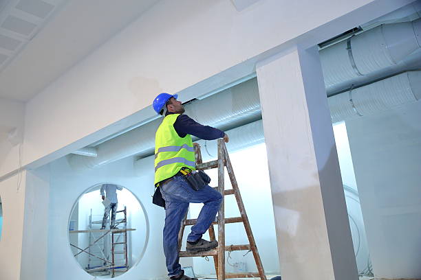 Best Mold Remediation for Vacation Homes  in Citrus Park, AZ